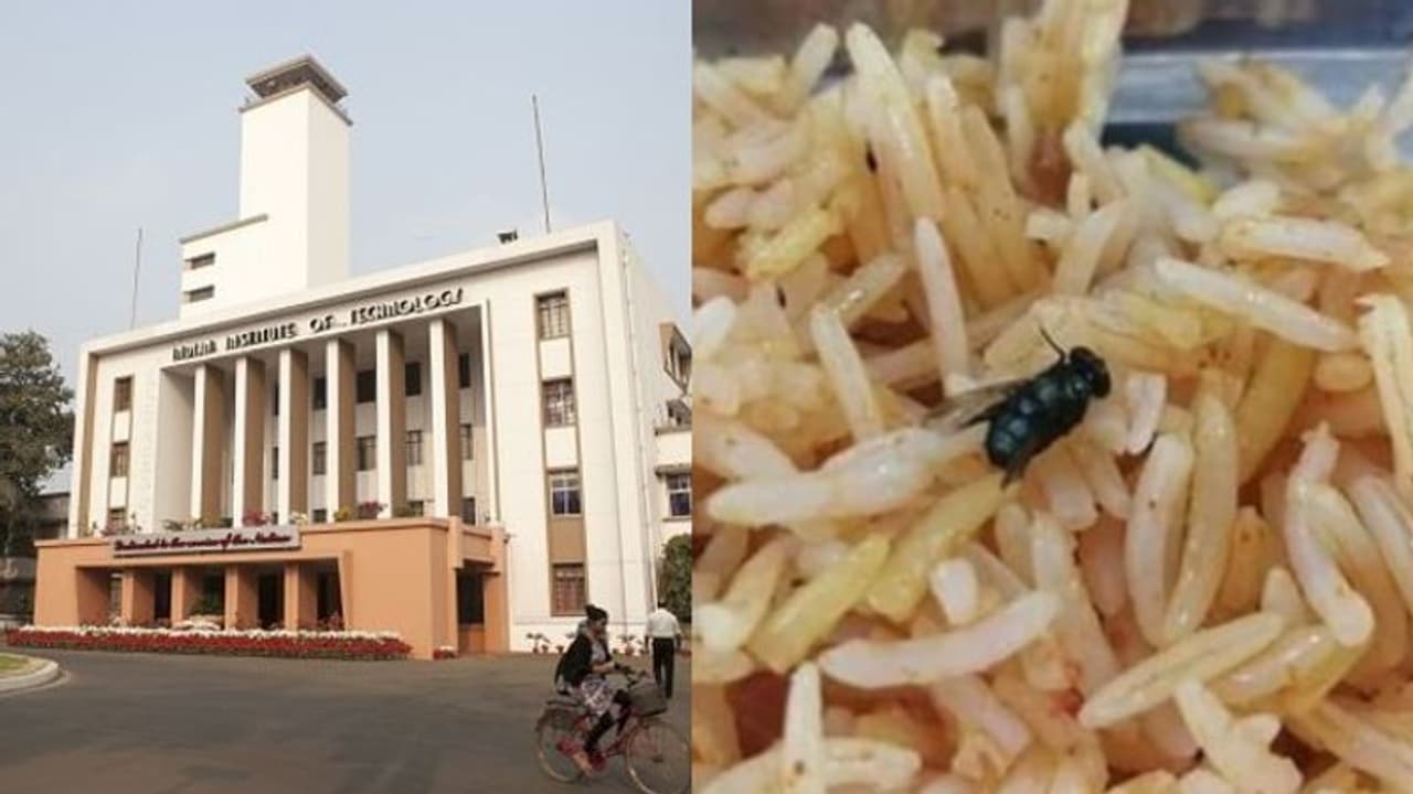 খড়গপুর আইআইটি এর হস্টেলের খাবারে পোকা, প্রতিবাদে সোচ্চার পড়ুয়ারা খড়গপুর আইআইটি এর হস্টেলের খাবারে পোকা, প্রতিবাদে সোচ্চার পড়ুয়ারা