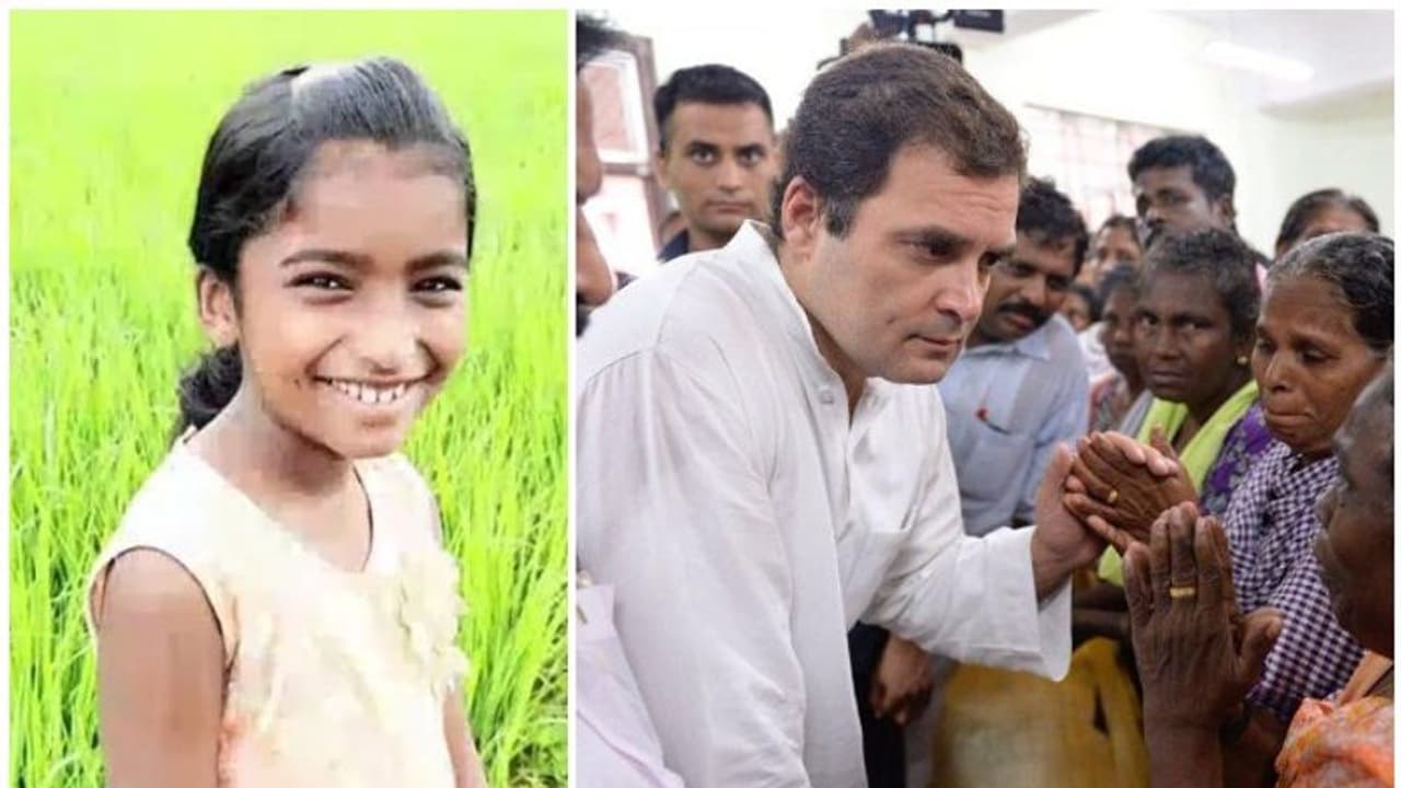 രാഹുൽ ഗാന്ധി കേരളത്തിൽ, ഷെഹ്‍ല ഷെറിന്‍റെ വീട് സന്ദർശിക്കും