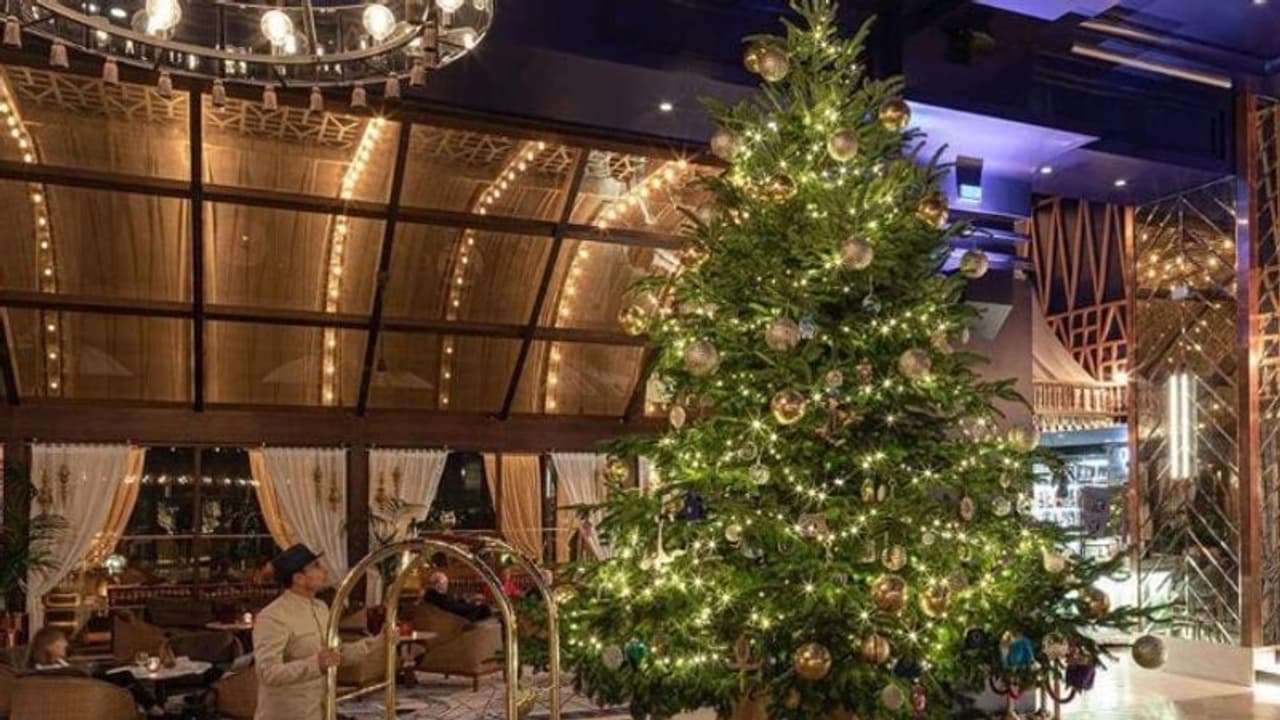 ഇതാണ് ലോകത്തിലെ ഏറ്റവും വിലയേറിയ ക്രിസ്മസ് മരം; വില കോടികള് ! ഇതാണ് ലോകത്തിലെ ഏറ്റവും വിലയേറിയ ക്രിസ്മസ് മരം; വില കോടികള് !