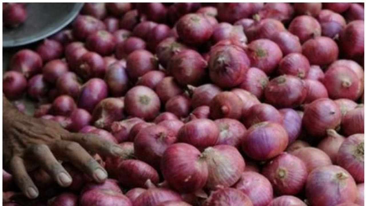 25 രൂപയ്ക്ക് ഒരു കിലോ ഉള്ളി; വില്പ്പന കേന്ദ്രത്തില് തിക്കും തിരക്കും, നിരവധി പേര്ക്ക് പരിക്ക് 25 രൂപയ്ക്ക് ഒരു കിലോ ഉള്ളി; വില്പ്പന കേന്ദ്രത്തില് തിക്കും തിരക്കും, നിരവധി പേര്ക്ക് പരിക്ക്