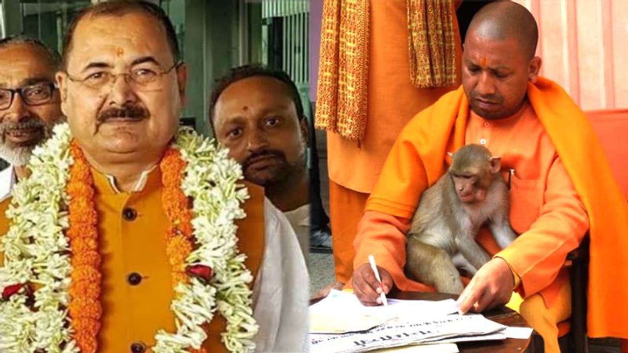 CM योगी को अजय बिष्ट कहने पर दर्ज हुआ केस, जानें क्या है इस नाम से आदित्यनाथ का कनेक्शन CM योगी को अजय बिष्ट कहने पर दर्ज हुआ केस, जानें क्या है इस नाम से आदित्यनाथ का कनेक्शन