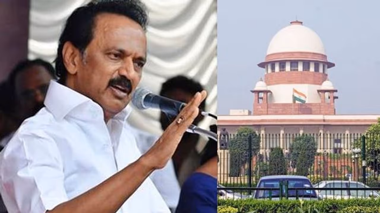 உள்ளாட்சித் தேர்தல் திட்டமிட்டப்படி நடக்குமா..? திமுக கூட்டணி கட்சிகளின் வழக்கை உச்ச நீதிமன்றம் இன்று விசாரிக்கிறது! உள்ளாட்சித் தேர்தல் திட்டமிட்டப்படி நடக்குமா..? திமுக கூட்டணி கட்சிகளின் வழக்கை உச்ச நீதிமன்றம் இன்று விசாரிக்கிறது!