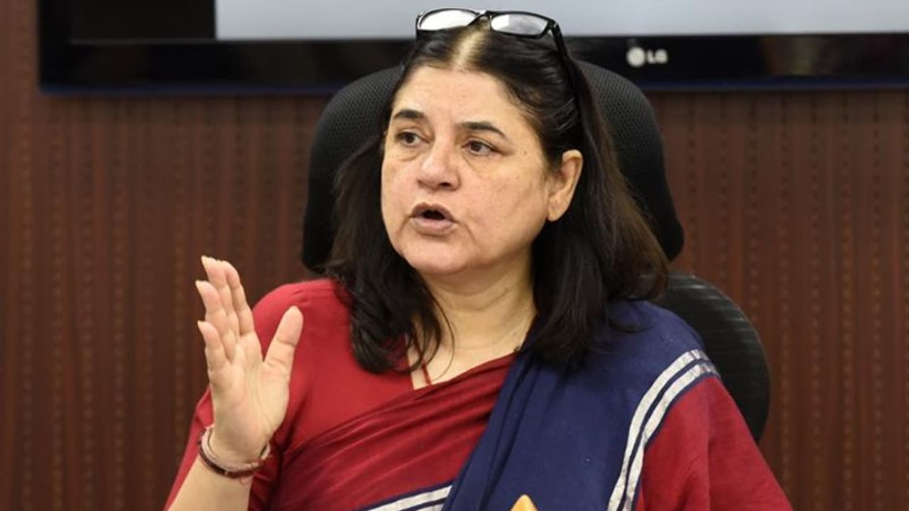 'അവർ ഹരേ റാം ഹരേ കൃഷ്ണ പാടി നടക്കും, പക്ഷേ പശുക്കളെ കശാപ്പുകാർക്ക് വിൽക്കും'; ഇസ്കോണിനെതിരെ മനേക ഗാന്ധി 'അവർ ഹരേ റാം ഹരേ കൃഷ്ണ പാടി നടക്കും, പക്ഷേ പശുക്കളെ കശാപ്പുകാർക്ക് വിൽക്കും'; ഇസ്കോണിനെതിരെ മനേക ഗാന്ധി