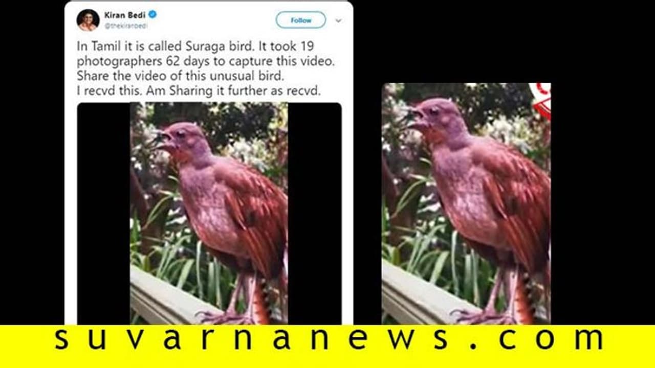 Fact Check| ಈ ಹಕ್ಕಿಯ ವಿಡಿಯೋ ಸೆರೆ ಹಿಡಿಯಲು 62 ದಿನ ಬೇಕಾಯ್ತಂತೆ!