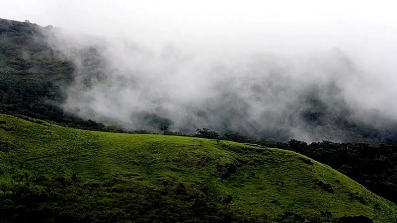 ಕೊಡಗಿನ ಸೌಂದರ್ಯ ಸವಿಯಲು ಬರುವ ಪ್ರವಾಸಿಗರಿಗೆ ನಿರಾಸೆ ಕೊಡಗಿನ ಸೌಂದರ್ಯ ಸವಿಯಲು ಬರುವ ಪ್ರವಾಸಿಗರಿಗೆ ನಿರಾಸೆ