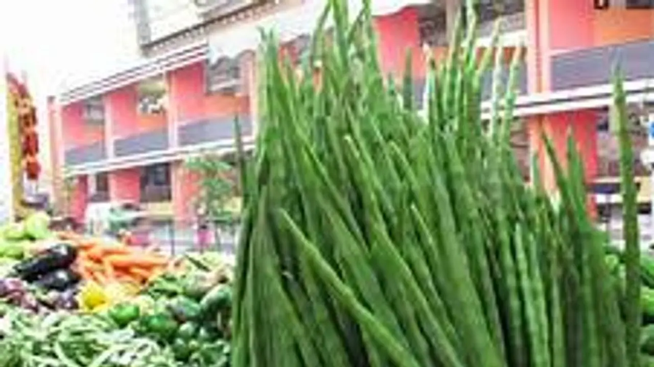 அதிர்ச்சி மேல் அதிர்ச்சி..! 800 ரூபாயை தொட்ட ஒரு கிலோ முருங்கை விலை..! அதிர்ச்சி மேல் அதிர்ச்சி..! 800 ரூபாயை தொட்ட ஒரு கிலோ முருங்கை விலை..!