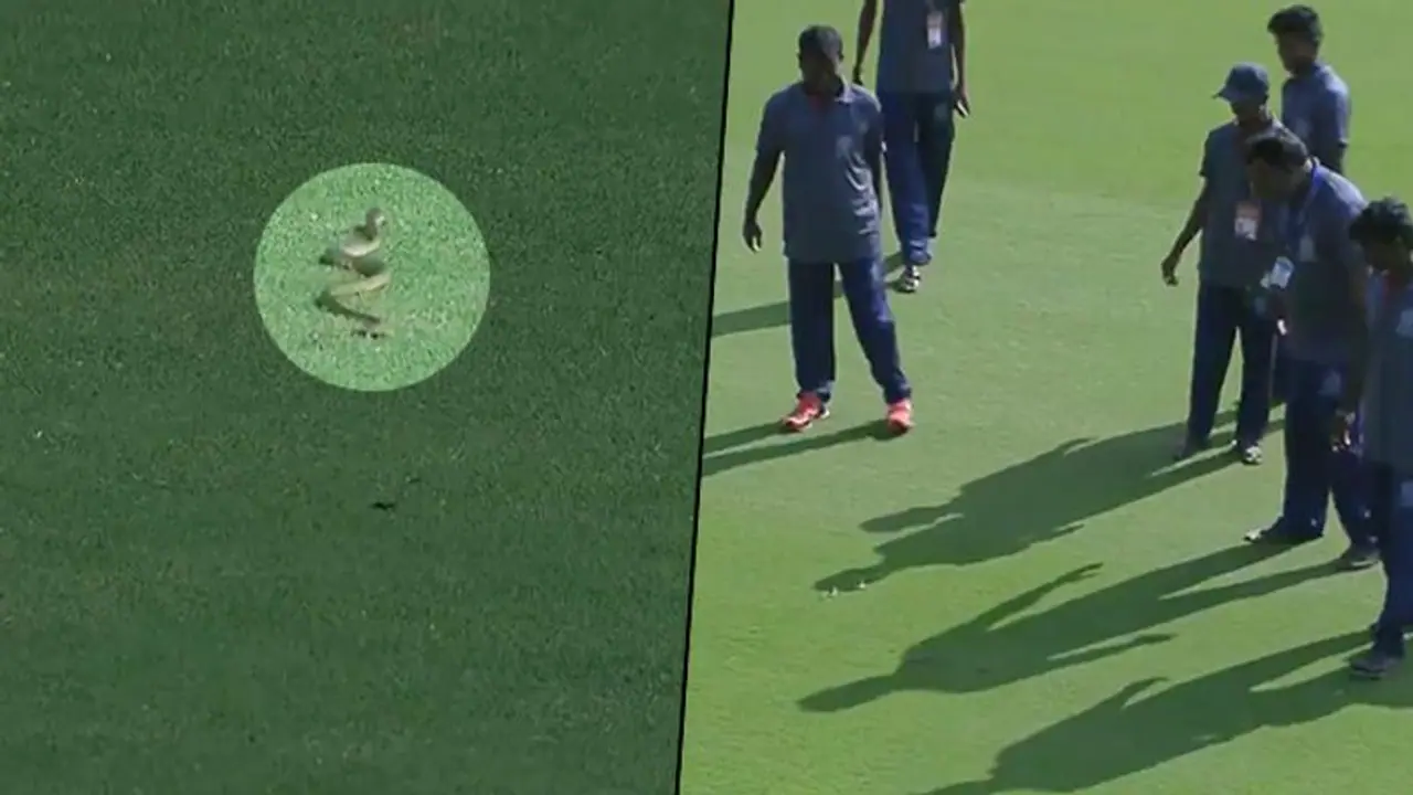 Ranji Trophy: Snake stops play in Andhra Vidarbha game in Mulapadu (video)