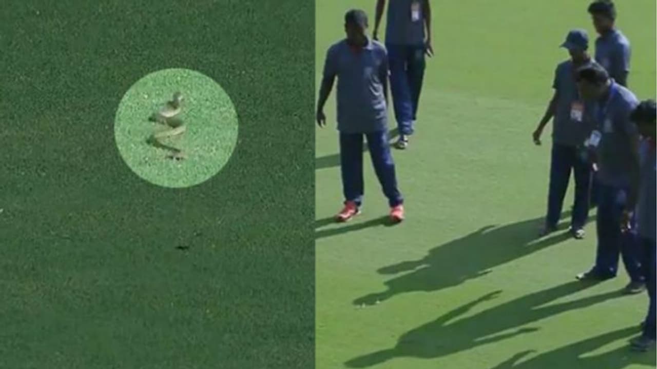 பல காரணங்களுக்கு கிரிக்கெட் மேட்ச் தடைபட்டு பார்த்துருப்பீங்க.. ஆனால் இது ரொம்ப புதுசு.. வீடியோவை பாருங்க பல காரணங்களுக்கு கிரிக்கெட் மேட்ச் தடைபட்டு பார்த்துருப்பீங்க.. ஆனால் இது ரொம்ப புதுசு.. வீடியோவை பாருங்க