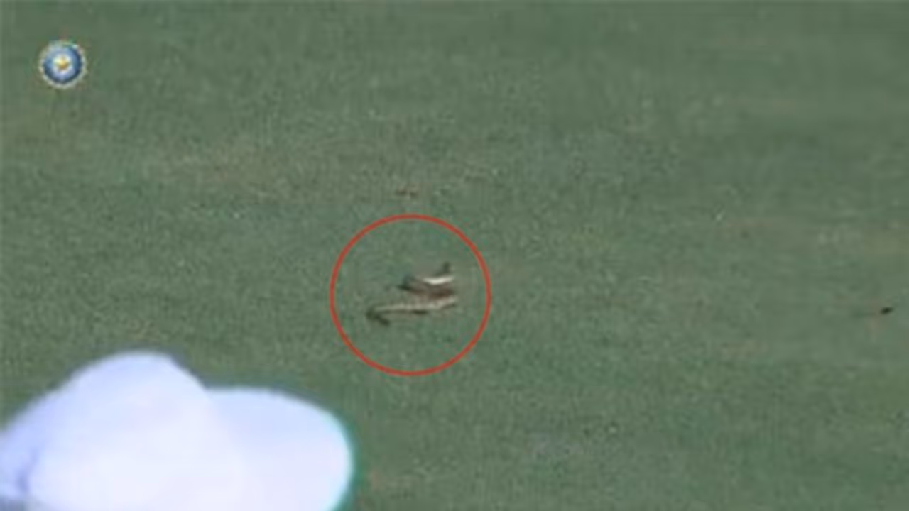 রঞ্জি ট্রফির প্রথম দিনই বিপত্তি, মাঠে সাপ ঢুকে পড়ায় খেলা শুরু হতে দেরি