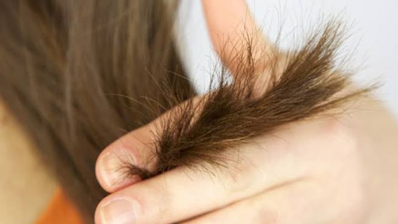 समुद्र शास्त्र: कन्फ्यूज रहते हैं दो मुहें बाल वाले लोग, नहीं ले पाते सही निर्णय समुद्र शास्त्र: कन्फ्यूज रहते हैं दो मुहें बाल वाले लोग, नहीं ले पाते सही निर्णय