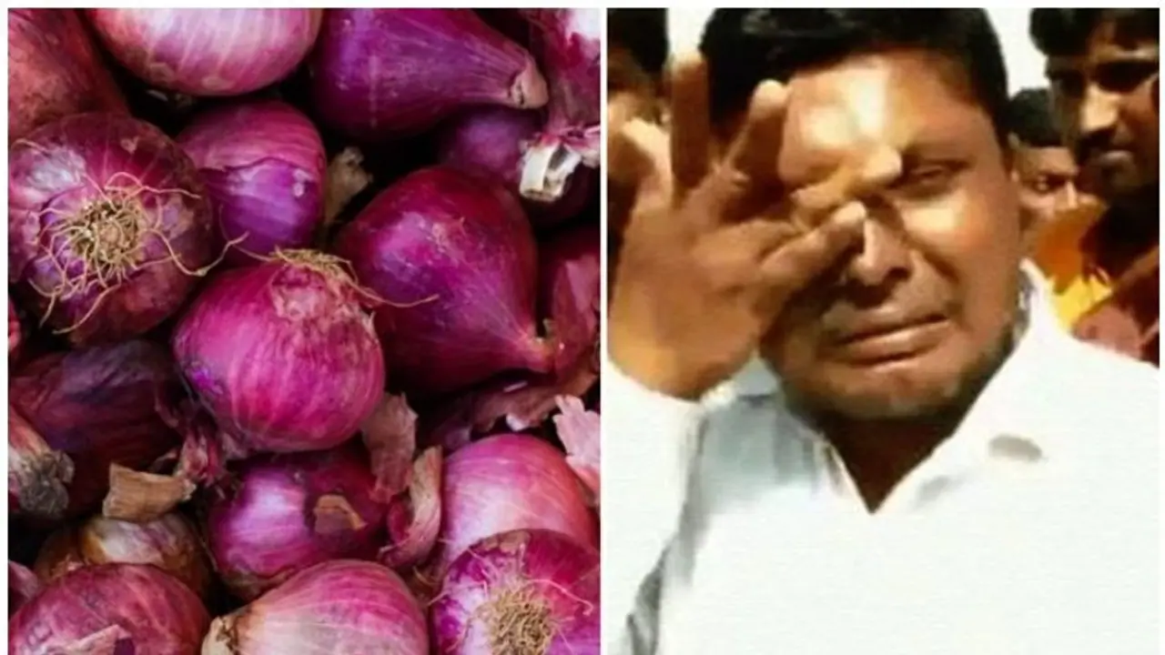 தமிழகத்திற்கு வந்த எகிப்து வெங்காயம் எப்படி இருக்கும்..? ஆர்வம் காட்டாத மக்கள்..! தமிழகத்திற்கு வந்த எகிப்து வெங்காயம் எப்படி இருக்கும்..? ஆர்வம் காட்டாத மக்கள்..!