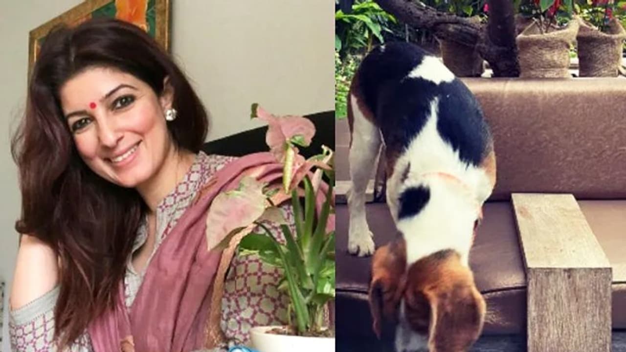 Twinkle Khanna shares her four legged baby picture with interesting caption