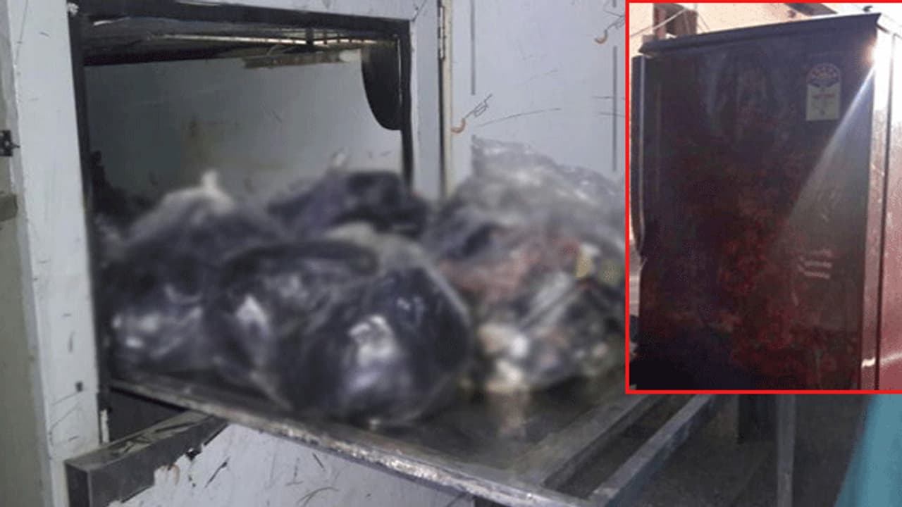 पत्नी का मर्डर कर लाश के टुकड़े फ्रिज में रखे, 2 बच्चों के साथ वहीं बिताए 7 दिन, फिर यूं निकालता रहा