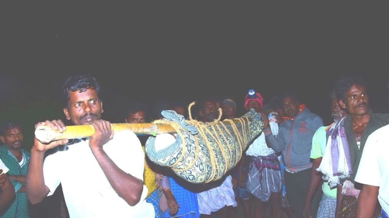 70 ஆண்டுகளாக அடிப்படை வசதிகளின்றி தவிக்கும் மலைக்கிராமம்..! இறந்தவர்கள் உடலை தொட்டில் கட்டி தூக்கிச்செல்லும் அவலம்..!