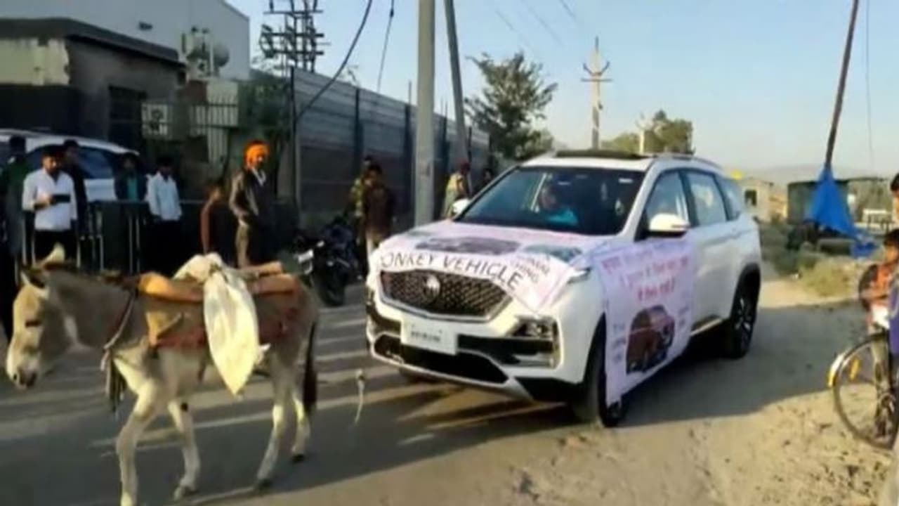 গাধায় টানছে বাইশ লাখের গাড়ি, টাকা ফেরাতে চাইল নামী সংস্থা গাধায় টানছে বাইশ লাখের গাড়ি, টাকা ফেরাতে চাইল নামী সংস্থা