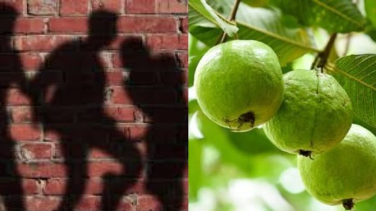 ഫാമിൽ നിന്ന് പേരയ്ക്ക പറിച്ചു; ആറ് വയസുകാരനെ മരത്തിൽ കെട്ടിയിട്ട് ക്രൂരമായി മർദ്ദിച്ച് ഉടമയും ഭാര്യയും ഫാമിൽ നിന്ന് പേരയ്ക്ക പറിച്ചു; ആറ് വയസുകാരനെ മരത്തിൽ കെട്ടിയിട്ട് ക്രൂരമായി മർദ്ദിച്ച് ഉടമയും ഭാര്യയും