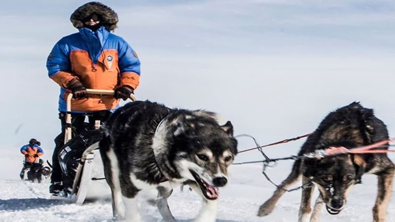 വിദ്വേഷം പരത്തി വോട്ടുപിടുത്തം; പോളാര് യാത്രാ വിജയികളുടെ പ്രഖ്യാപനം നീട്ടി ഫിയല് റാവന് വിദ്വേഷം പരത്തി വോട്ടുപിടുത്തം; പോളാര് യാത്രാ വിജയികളുടെ പ്രഖ്യാപനം നീട്ടി ഫിയല് റാവന്