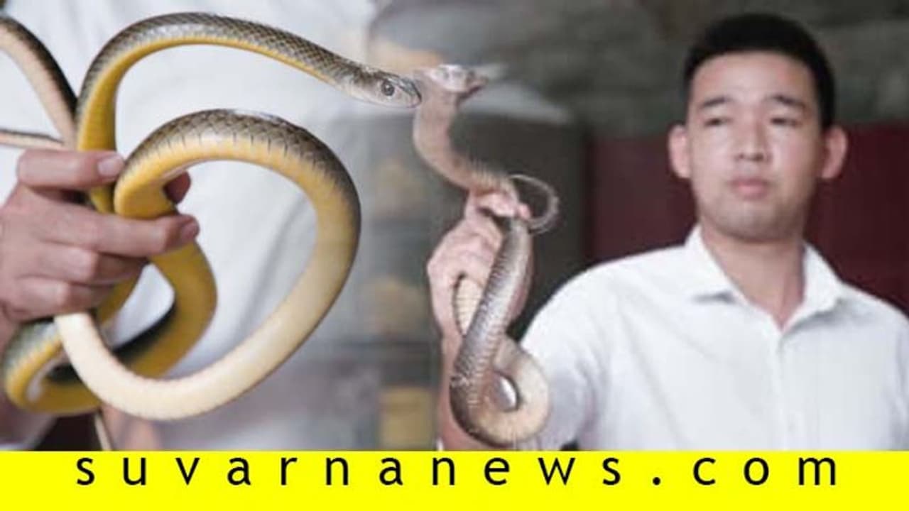 ಈ ಹೋಟೆಲ್ ಮೆನುವಿನಲ್ಲಿ ಸಿಗೋದು ಆಹಾರವಲ್ಲ, ಬರಿ ಹಾವುಗಳು! ಈ ಹೋಟೆಲ್ ಮೆನುವಿನಲ್ಲಿ ಸಿಗೋದು ಆಹಾರವಲ್ಲ, ಬರಿ ಹಾವುಗಳು!