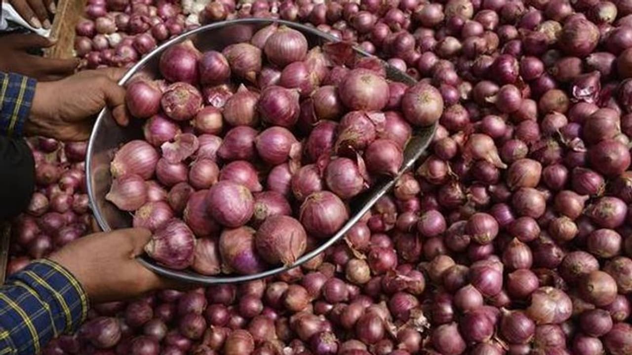 200 കടന്ന ഉള്ളിവില; കര്ഷകര്ക്ക് കിട്ടുന്നതെത്ര, ലാഭം മുഴുവന് കയ്യാളുന്നത് ആര്? 200 കടന്ന ഉള്ളിവില; കര്ഷകര്ക്ക് കിട്ടുന്നതെത്ര, ലാഭം മുഴുവന് കയ്യാളുന്നത് ആര്?