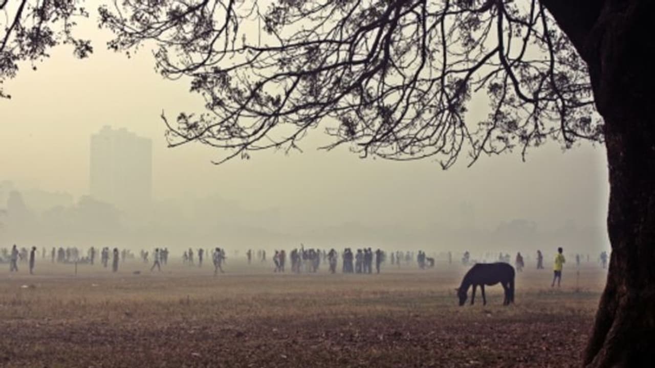 পশ্চিমী ঝঞ্ঝার জেরেই শীত ঢুকতে বাধা পাচ্ছে, শহরের আকাশ মেঘলা থাকার সম্ভাবনা পশ্চিমী ঝঞ্ঝার জেরেই শীত ঢুকতে বাধা পাচ্ছে, শহরের আকাশ মেঘলা থাকার সম্ভাবনা