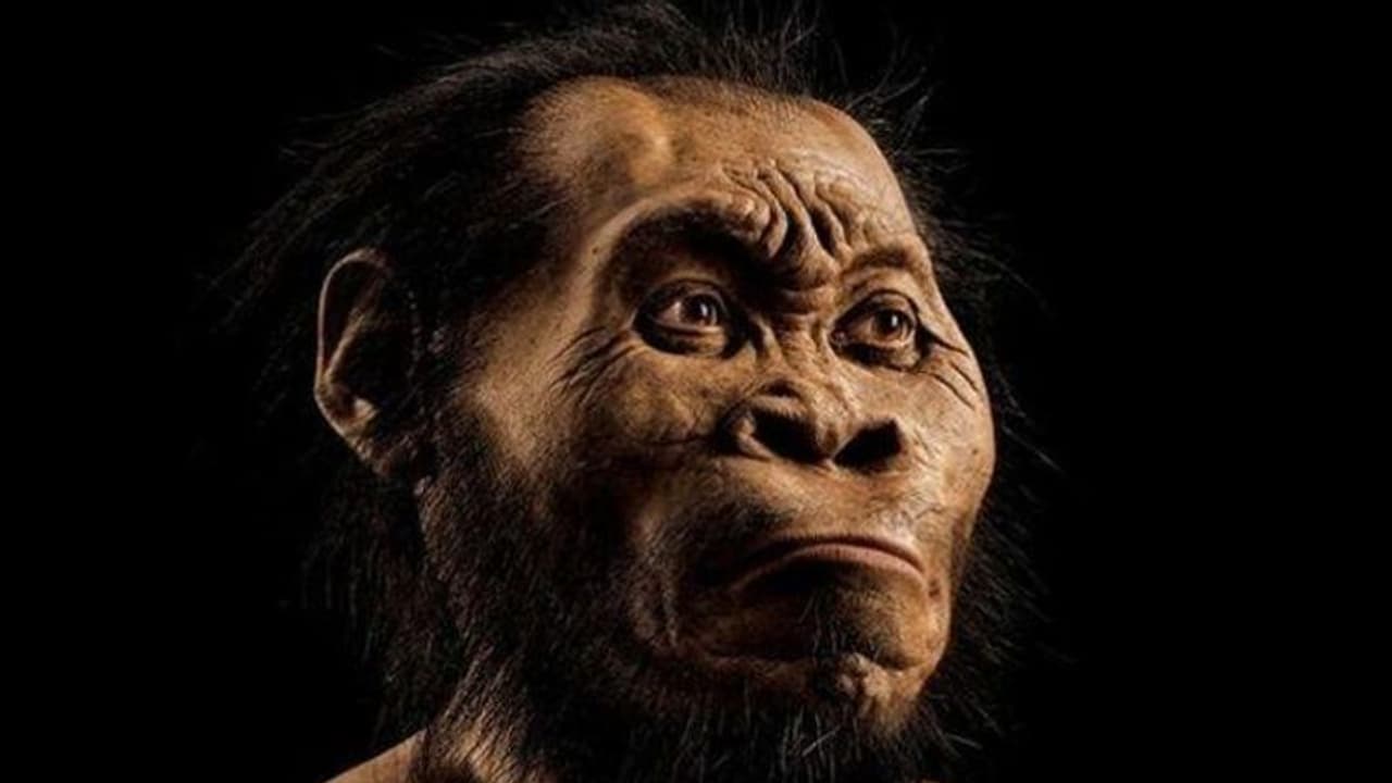 ആധുനിക മനുഷ്യരുണ്ടായത് ഈ പ്രദേശത്ത്, മനുഷ്യന്റെ 'മാതൃരാജ്യം' ഇതോ? ആധുനിക മനുഷ്യരുണ്ടായത് ഈ പ്രദേശത്ത്, മനുഷ്യന്റെ 'മാതൃരാജ്യം' ഇതോ?