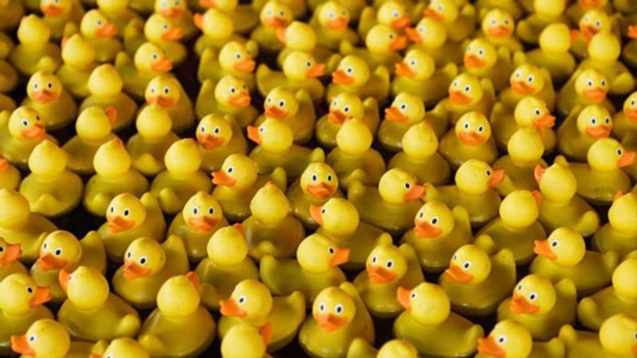 Unwanted record 100: Pakistan batsman completes century of ducks