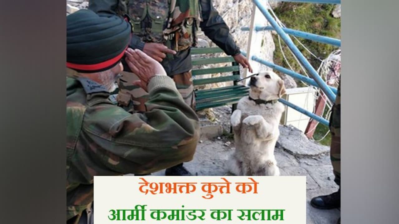 आर्मी कमांडर की कुत्ते को सैल्यूट करती तस्वीर हुई वायरल, खुद सामने आकर बताई असली वजह आर्मी कमांडर की कुत्ते को सैल्यूट करती तस्वीर हुई वायरल, खुद सामने आकर बताई असली वजह