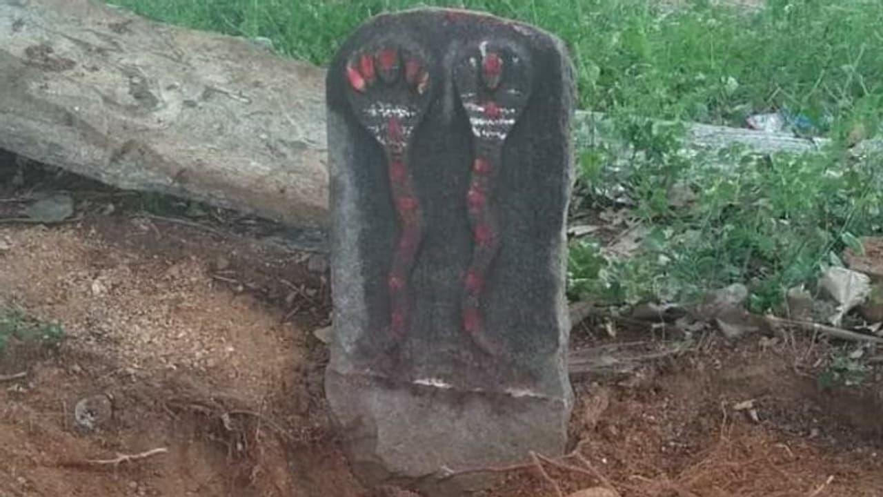 ದೇವಾಲಯದ ಆವರಣ ಅಸ್ತವ್ಯಸ್ತ : ನಾಗ ವಿಗ್ರಹದ ಕೆಳಗಿತ್ತಾ ನಿಧಿ? ದೇವಾಲಯದ ಆವರಣ ಅಸ್ತವ್ಯಸ್ತ : ನಾಗ ವಿಗ್ರಹದ ಕೆಳಗಿತ್ತಾ ನಿಧಿ?