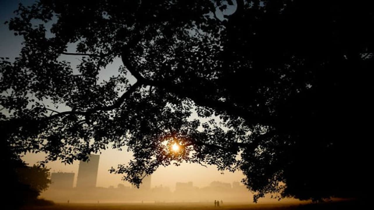 রাজ্যে ঢুকতে শুরু করেছে উত্তরে হাওয়া, দ্রুত কমবে তাপমাত্রা রাজ্যে ঢুকতে শুরু করেছে উত্তরে হাওয়া, দ্রুত কমবে তাপমাত্রা