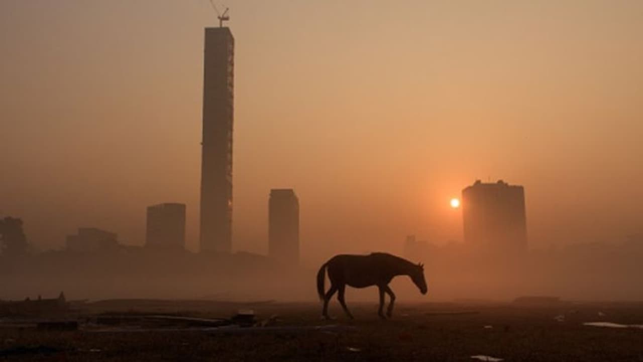 ঘন কুয়াশায় শহরে সূর্যোদয়, তাপমাত্রার পারদ ১৮ ডিগ্রি সেলসিয়াসে ঘন কুয়াশায় শহরে সূর্যোদয়, তাপমাত্রার পারদ ১৮ ডিগ্রি সেলসিয়াসে