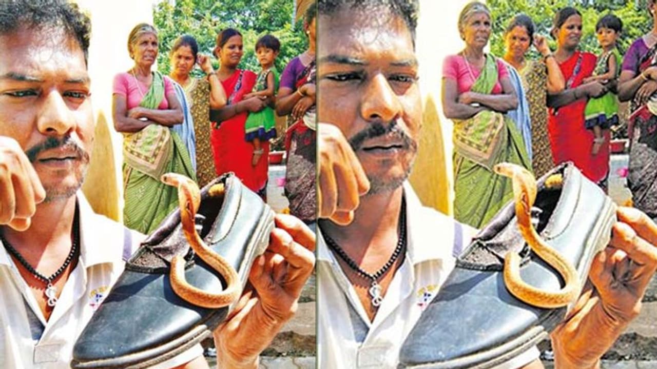 ‘ஷூ’வுக்குள் பதுங்கியிருந்த நல்ல பாம்பு... நூலிழையில் உயிர் தப்பிய சிறுமி..!