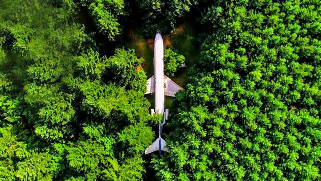 घने जंगल में मिला पुराना प्लेन, दरवाजा खोलते ही हैरान हो गए लोग घने जंगल में मिला पुराना प्लेन, दरवाजा खोलते ही हैरान हो गए लोग