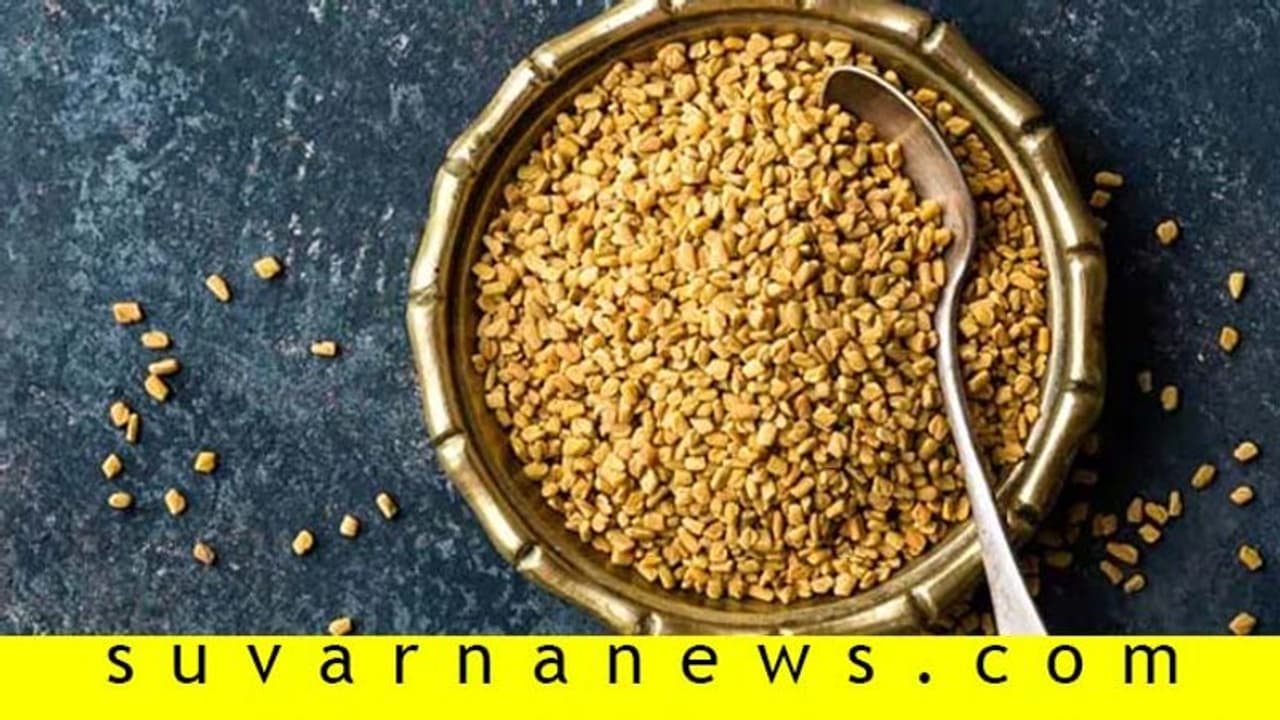 ಮೆಂತೆ ನಾಲಿಗೆಗೆ ಕಹಿಯಾದರೂ ಆರೋಗ್ಯಕ್ಕೆ ಸಿಹಿ! ಮೆಂತೆ ನಾಲಿಗೆಗೆ ಕಹಿಯಾದರೂ ಆರೋಗ್ಯಕ್ಕೆ ಸಿಹಿ!