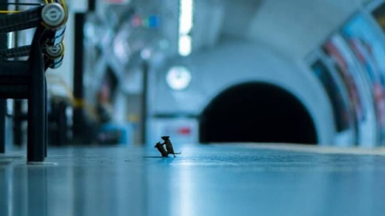 ഈ ഫോട്ടോയിലുള്ളവരെ അറിയാമോ? മികച്ച വന്യജീവി ഫോട്ടോയ്ക്കുള്ള അവാർഡിന് പരിഗണിച്ച ചിത്രമിതാണ്! ഈ ഫോട്ടോയിലുള്ളവരെ അറിയാമോ? മികച്ച വന്യജീവി ഫോട്ടോയ്ക്കുള്ള അവാർഡിന് പരിഗണിച്ച ചിത്രമിതാണ്!