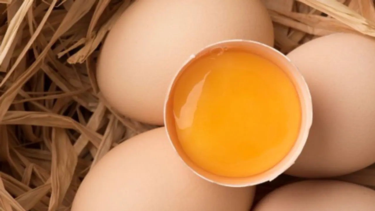 ডায়েট নয়, প্রোটিনের ঘাটতি পূরণে পাতে রাখুন ডিমের কুসুম ডায়েট নয়, প্রোটিনের ঘাটতি পূরণে পাতে রাখুন ডিমের কুসুম