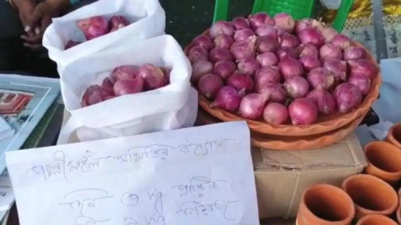 प्याज ने बढ़ाई महंगाई, सरकार और जनता  ही नहीं आरबीआई भी परेशान