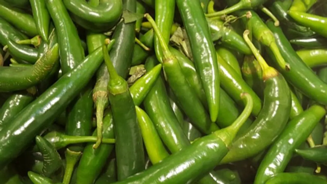 লঙ্কা খেয়ে ওজন কমান, জেনে নিন কীভাবে কাঁচা লঙ্কার গুণে ওজন কমবে লঙ্কা খেয়ে ওজন কমান, জেনে নিন কীভাবে কাঁচা লঙ্কার গুণে ওজন কমবে