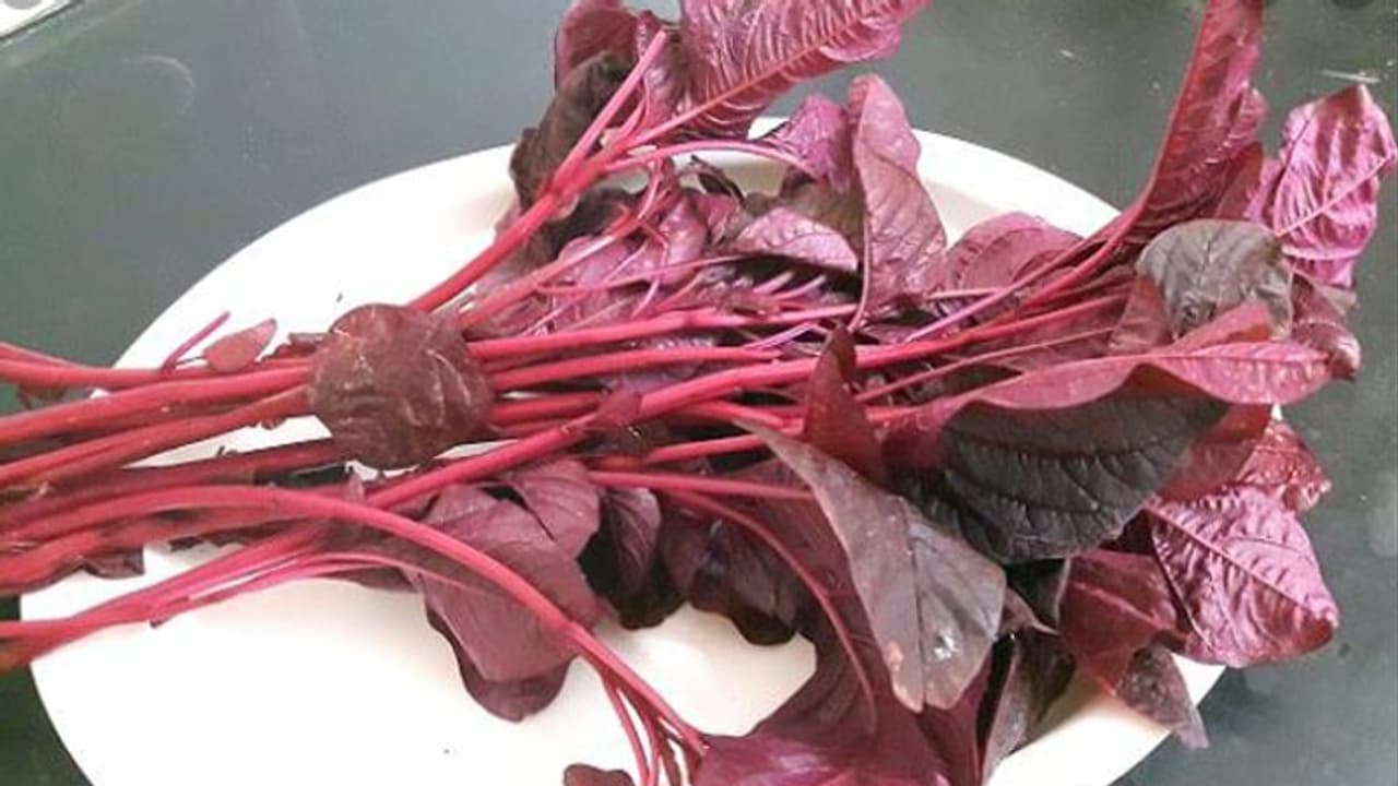 ചുവന്ന ചീര കൊണ്ട് ഉഗ്രനൊരു സൂപ്പ് തയാറാക്കിയാലോ... ചുവന്ന ചീര കൊണ്ട് ഉഗ്രനൊരു സൂപ്പ് തയാറാക്കിയാലോ...