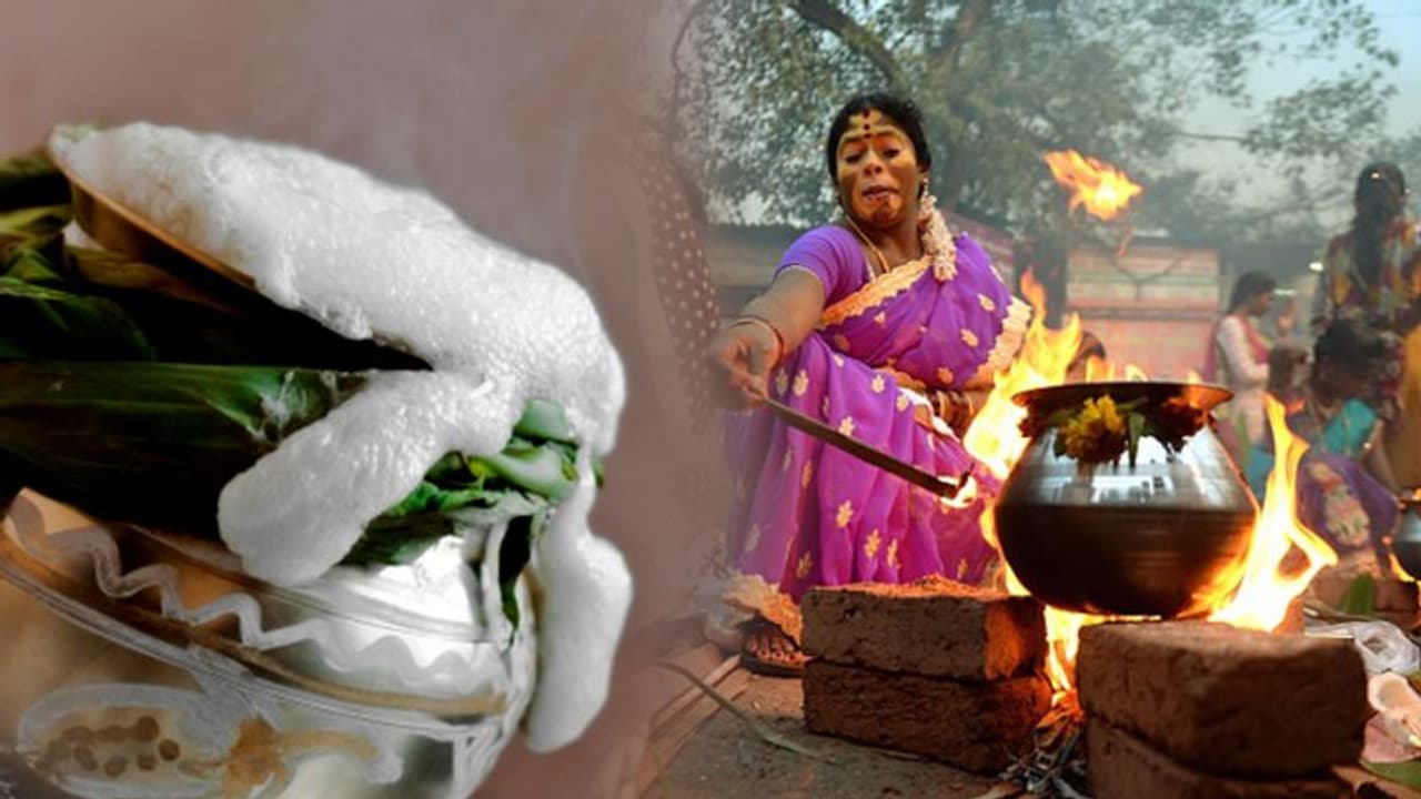 கொட்டி கிடக்கும் சந்தோஷத்தை தொலைத்து விட்டு... சாதாரணமாய் பொங்கலை கடந்து செல்லும் நகர வாசிகள்!