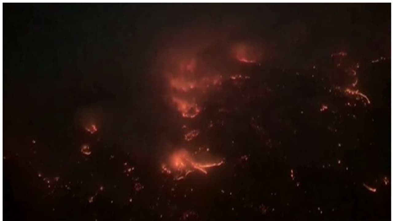 ഓസ്ട്രേലിയയിലെ കാട്ടുതീയിൽ ഒരാൾ കൂടി മരിച്ചു ഓസ്ട്രേലിയയിലെ കാട്ടുതീയിൽ ഒരാൾ കൂടി മരിച്ചു