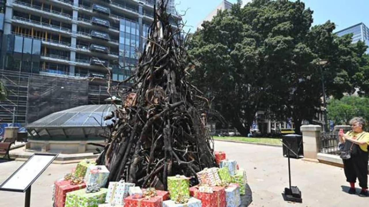 കത്തിക്കരിഞ്ഞ സൈക്കിള്, സമ്മാനങ്ങള്; ഓസ്ട്രേലിയയെ ചുട്ടെരിക്കുന്ന കാട്ടുതീയുടെ പ്രതീകമായി ക്രിസ്മസ് ട്രീ കത്തിക്കരിഞ്ഞ സൈക്കിള്, സമ്മാനങ്ങള്; ഓസ്ട്രേലിയയെ ചുട്ടെരിക്കുന്ന കാട്ടുതീയുടെ പ്രതീകമായി ക്രിസ്മസ് ട്രീ