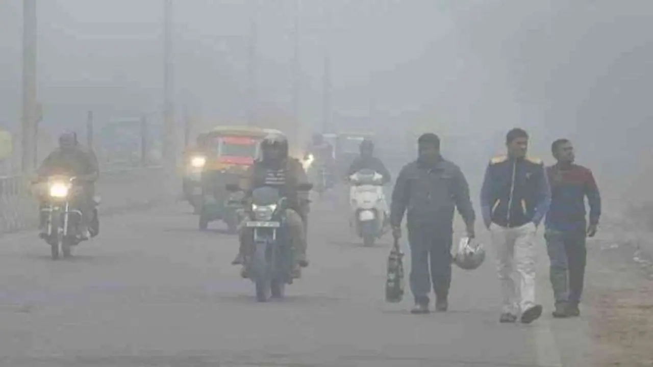 यूपी में 48 घंटे तक पड़ेगी कड़ाके की ठंड, 72 घंटे तक घने कोहरे के आसार यूपी में 48 घंटे तक पड़ेगी कड़ाके की ठंड, 72 घंटे तक घने कोहरे के आसार