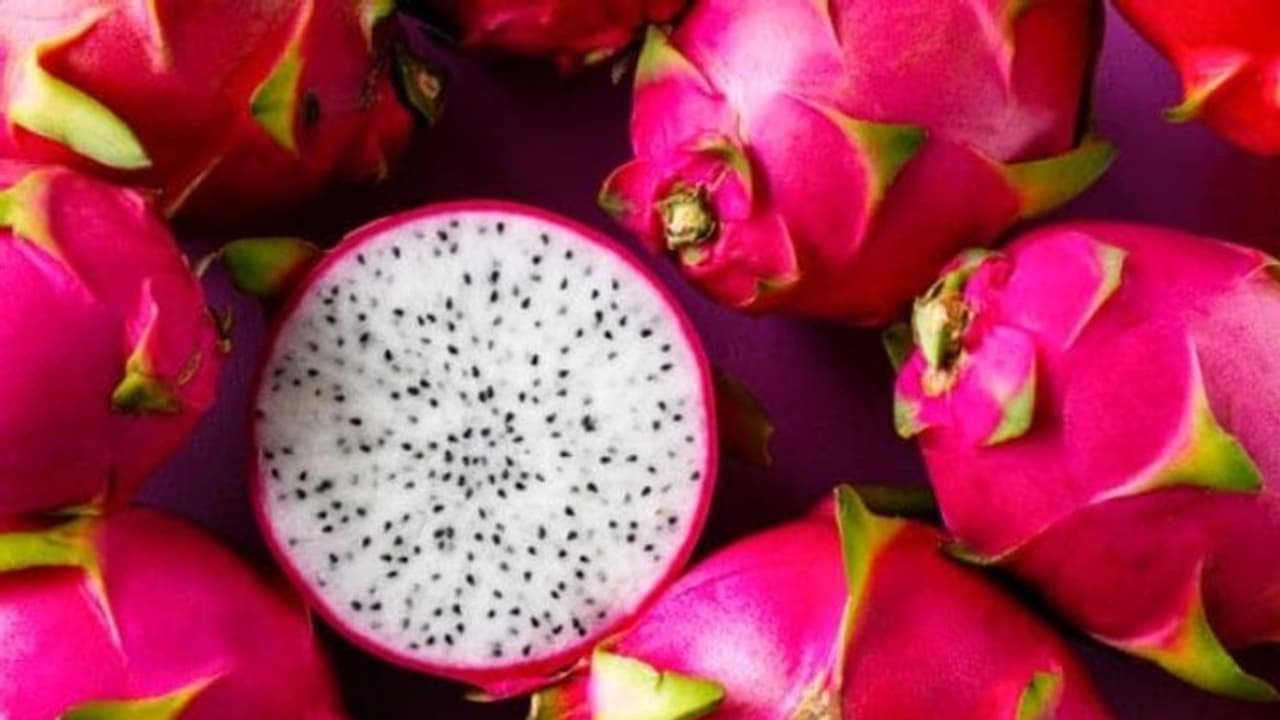 ഡ്രാഗൺ ഫ്രൂട്ടിന് ഇത്രയും ഗുണങ്ങളോ ; അറിഞ്ഞിരിക്കാം ചിലത്... ഡ്രാഗൺ ഫ്രൂട്ടിന് ഇത്രയും ഗുണങ്ങളോ ; അറിഞ്ഞിരിക്കാം ചിലത്...