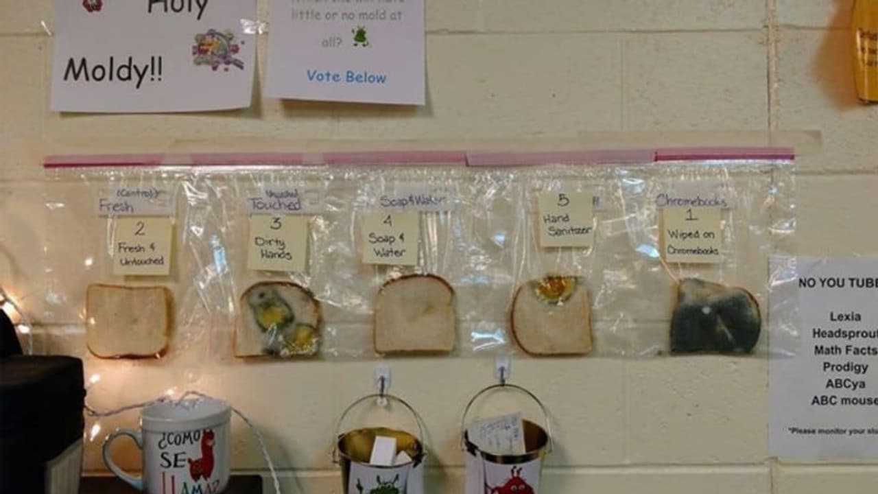 स्कूल टीचर ने किया घिनौना एक्सपेरिमेंट, रिजल्ट देखकर हैरान हुए लोग स्कूल टीचर ने किया घिनौना एक्सपेरिमेंट, रिजल्ट देखकर हैरान हुए लोग