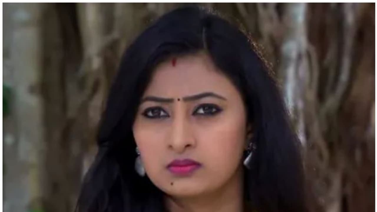 റാണി കുറ്റക്കാരിയാകുന്നു, സ്വാതിയുടെ തന്ത്രങ്ങള്‍ വിജയിക്കുമോ? ; നീലക്കുയില്‍ റിവ്യു