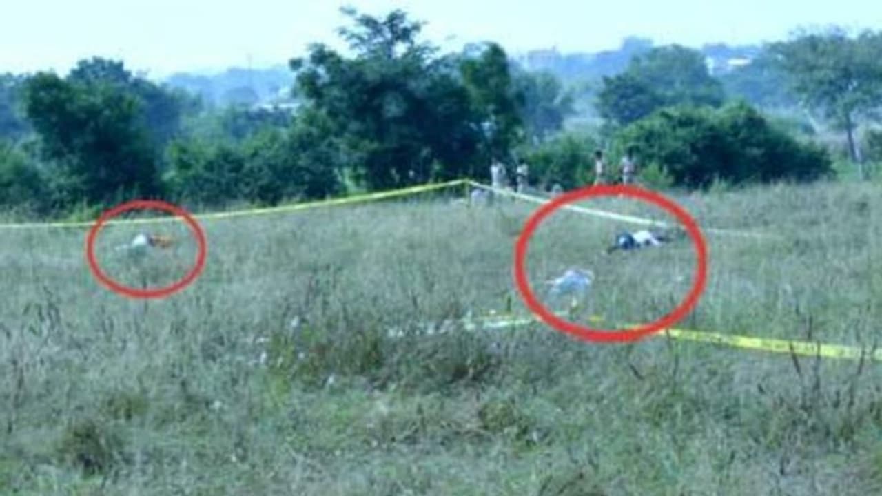 ദിശ കൊലക്കേസ്: പ്രതികളുടെ മൃതദേഹങ്ങള് വീണ്ടും പോസ്റ്റ്മോര്ട്ടം ചെയ്തു, ബന്ധുക്കള്ക്ക് വിട്ടുകൊടുത്തു ദിശ കൊലക്കേസ്: പ്രതികളുടെ മൃതദേഹങ്ങള് വീണ്ടും പോസ്റ്റ്മോര്ട്ടം ചെയ്തു, ബന്ധുക്കള്ക്ക് വിട്ടുകൊടുത്തു