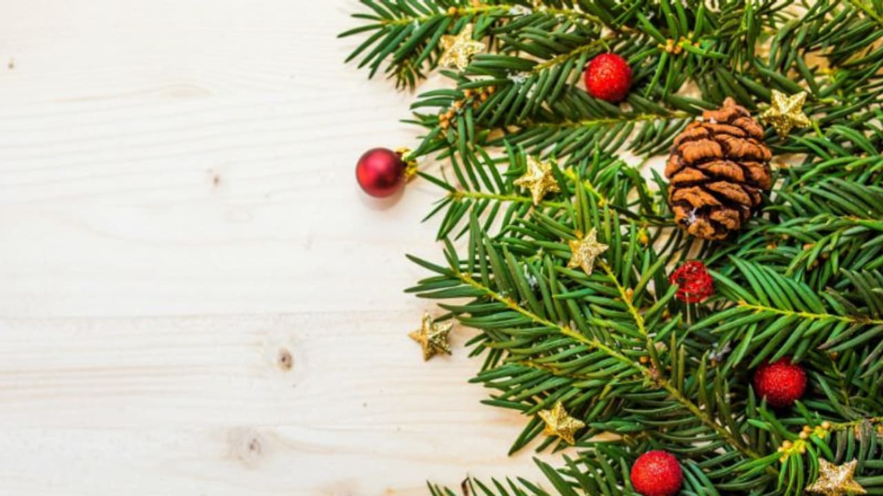 ക്രിസ്മസ് ട്രീയും സ്നോ ബുഷും ഇവിടെ കൃഷി ചെയ്യാനാവുമോ? ക്രിസ്മസ് ട്രീയും സ്നോ ബുഷും ഇവിടെ കൃഷി ചെയ്യാനാവുമോ?