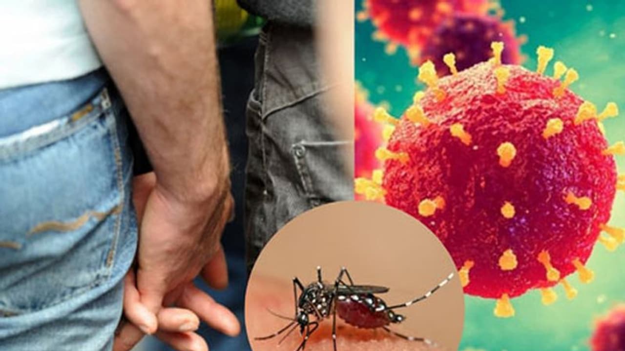 मर्द से मर्द ने किया प्यार, एड्स की जगह हो गया डेंगू मर्द से मर्द ने किया प्यार, एड्स की जगह हो गया डेंगू