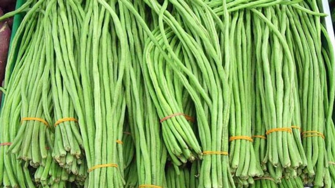 പയര്‍ കൃഷി ചെയ്യേണ്ടതെങ്ങനെ ? വിവിധ പയര്‍ വര്‍ഗങ്ങളുടെ ഗുണങ്ങള്‍ ? അറിയേണ്ടതെല്ലാം