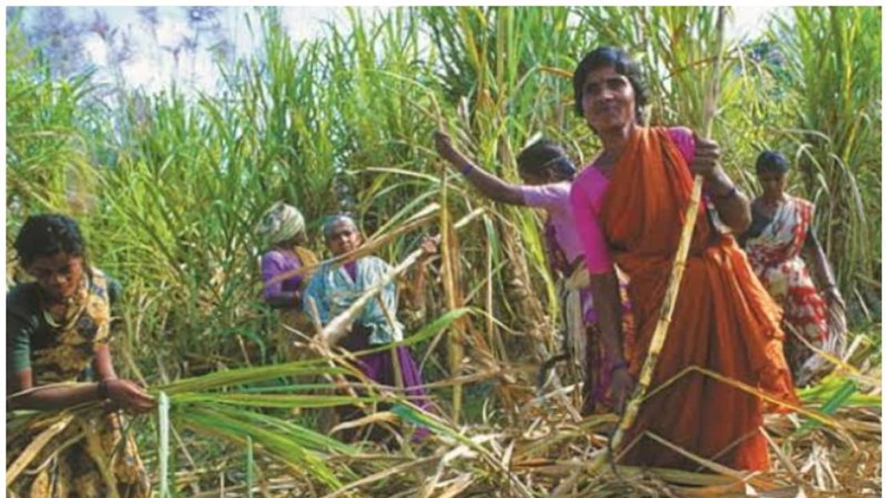 ആര്ത്തവ ദിനങ്ങളില് ജോലി ചെയ്യാനാവുന്നില്ല; 30,000 സ്ത്രീകള് ഗര്ഭപാത്രം നീക്കിയെന്ന് കോണ്ഗ്രസ് നേതാവ് ആര്ത്തവ ദിനങ്ങളില് ജോലി ചെയ്യാനാവുന്നില്ല; 30,000 സ്ത്രീകള് ഗര്ഭപാത്രം നീക്കിയെന്ന് കോണ്ഗ്രസ് നേതാവ്